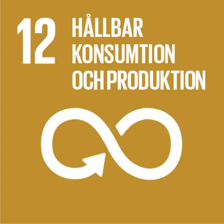 Globalt mål 12