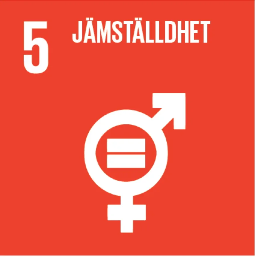 Globalt mål 5