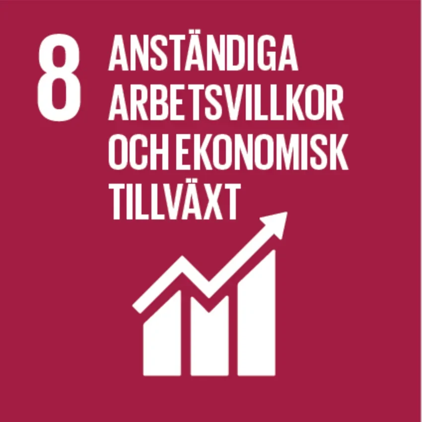 Globalt mål 8